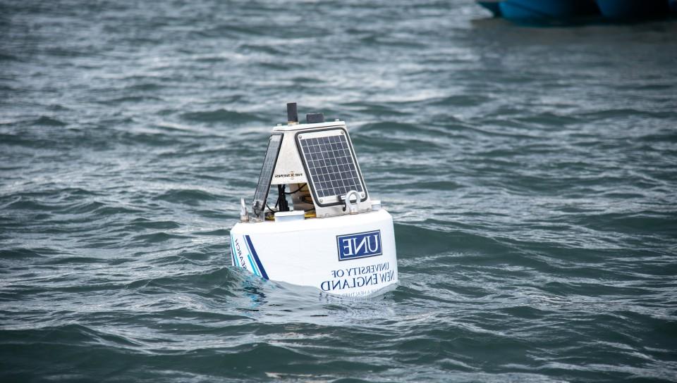 一个装有太阳能电池板的浮标漂浮在萨科湾的水域，可以实时跟踪被标记的大白鲨